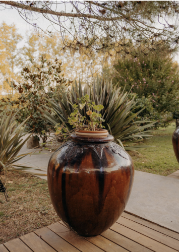 Shooting Ambiance Mariage - Plantes