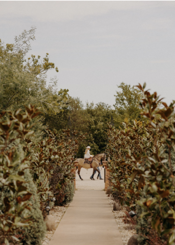 Shooting Ambiance Mariage - Cheval