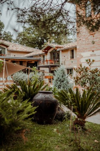 Shooting Margolia - Détails végétation